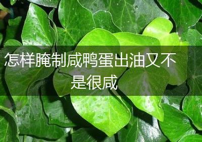 怎样腌制咸鸭蛋出油又不是很咸