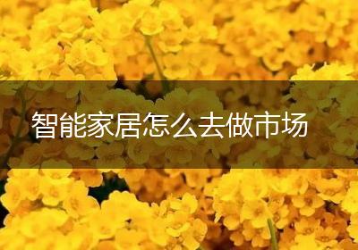 智能家居怎么去做市场