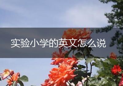 实验小学的英文怎么说