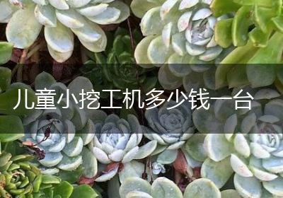 儿童小挖工机多少钱一台