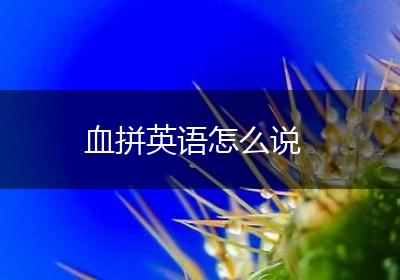 血拼英语怎么说