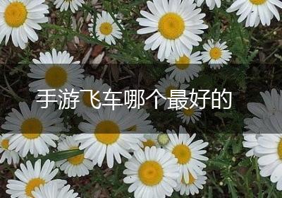 手游飞车哪个最好的