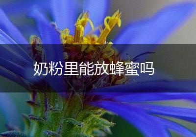 奶粉里能放蜂蜜吗
