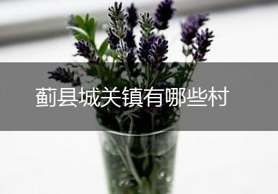 蓟县城关镇有哪些村
