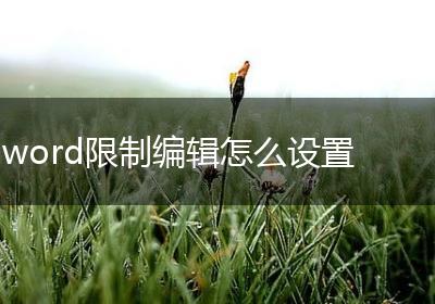 word限制编辑怎么设置