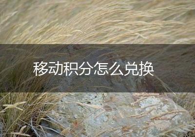 移动积分怎么兑换