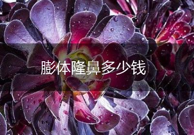 膨体隆鼻多少钱