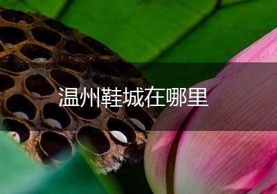 温州鞋城在哪里