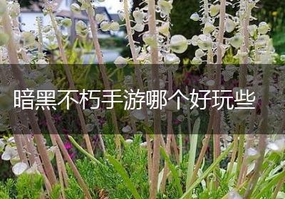 暗黑不朽手游哪个好玩些