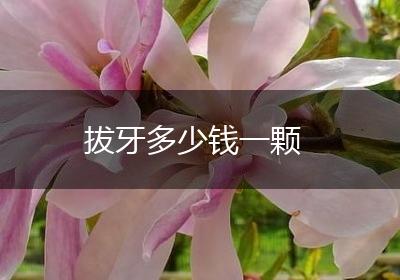 拔牙多少钱一颗