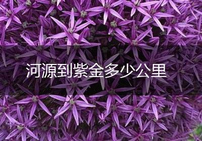 河源到紫金多少公里
