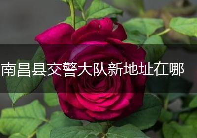 南昌县交警大队新地址在哪