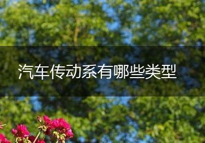 汽车传动系有哪些类型