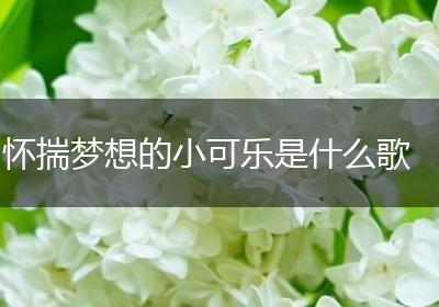 怀揣梦想的小可乐是什么歌