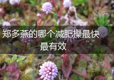 郑多燕的哪个减肥操最快最有效