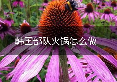 韩国部队火锅怎么做