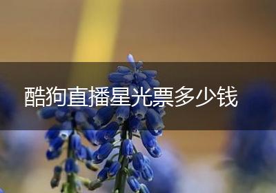 酷狗直播星光票多少钱