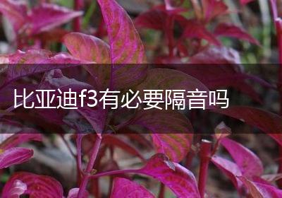 比亚迪f3有必要隔音吗