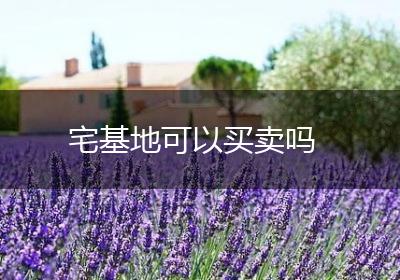宅基地可以买卖吗