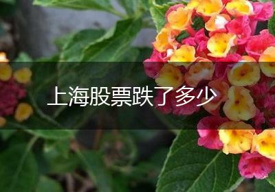 上海股票跌了多少