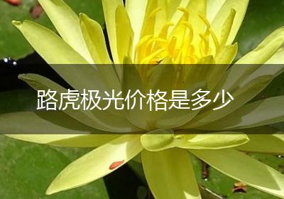 路虎极光价格是多少