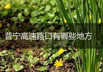 普宁高速路口有哪些地方