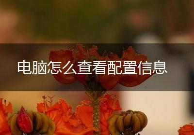 电脑怎么查看配置信息