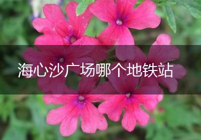 海心沙广场哪个地铁站