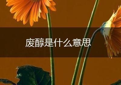 废醇是什么意思