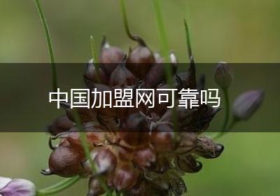 中国加盟网可靠吗