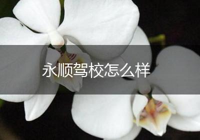 永顺驾校怎么样