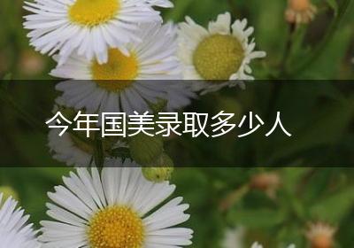 今年国美录取多少人