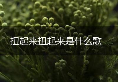 扭起来扭起来是什么歌