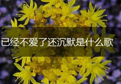 已经不爱了还沉默是什么歌