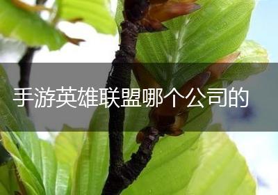 手游英雄联盟哪个公司的