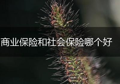 商业保险和社会保险哪个好