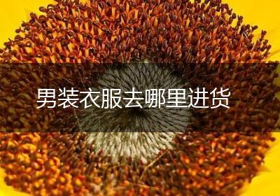 男装衣服去哪里进货