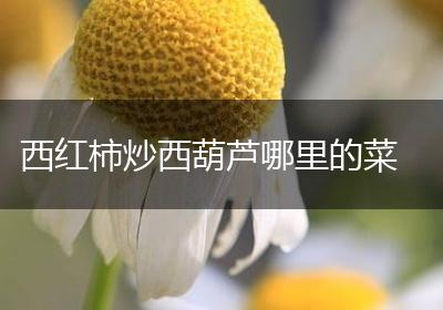 西红柿炒西葫芦哪里的菜