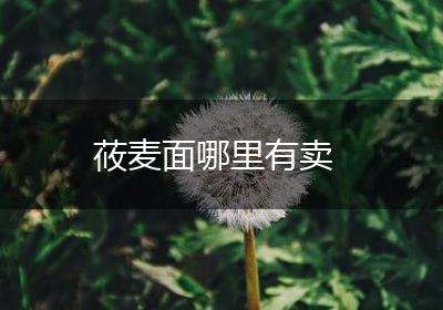 莜麦面哪里有卖
