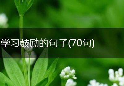 学习鼓励的句子(70句)