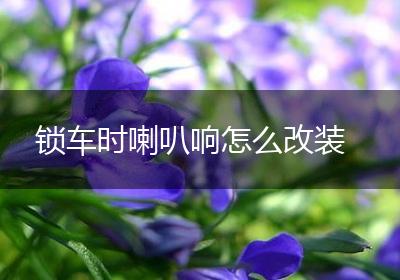 锁车时喇叭响怎么改装