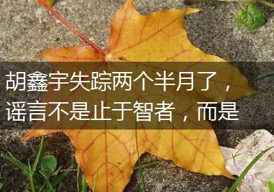 胡鑫宇失踪两个半月了，谣言不是止于智者，而是止于真相
