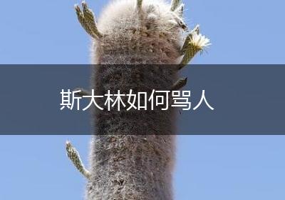 斯大林如何骂人