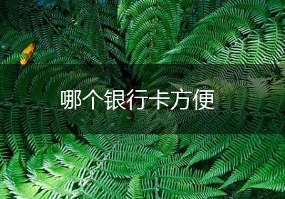 哪个银行卡方便