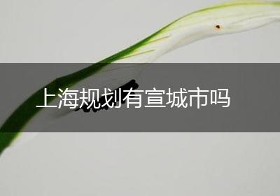 上海规划有宣城市吗
