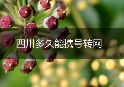 四川多久能携号转网