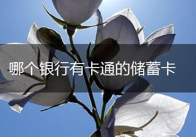 哪个银行有卡通的储蓄卡