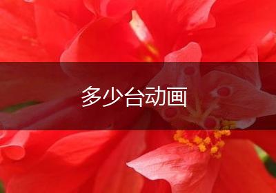 多少台动画