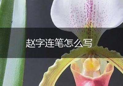 赵字连笔怎么写