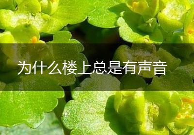 为什么楼上总是有声音